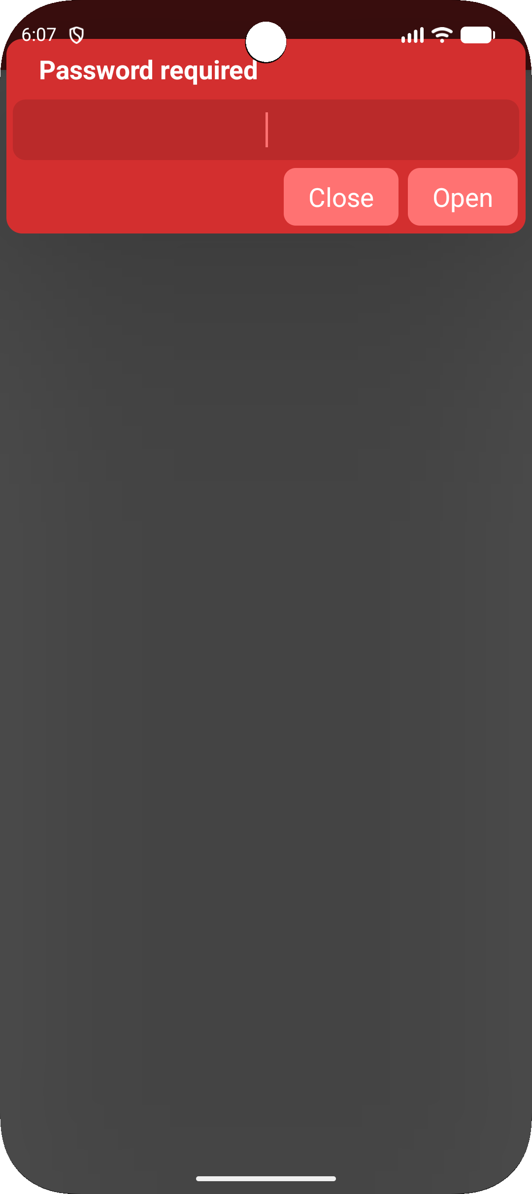 Password-protected PDF